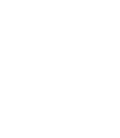 Tavuk
