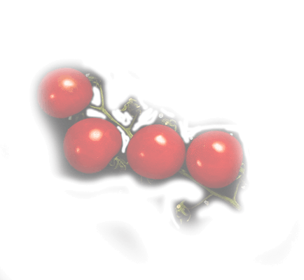 Başlık 3